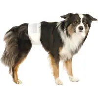 Trixie Couches pour un chien mâle L–XL: 60–80 cm 2x12 pcs.