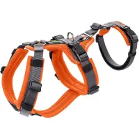 Hunter Harnais de sécurité pour chasseur Maldon - S-M - Orange/gris