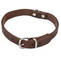 Beeztees BZ COLLIER EN CUIR BRUN 52X20 (Chien, Général)