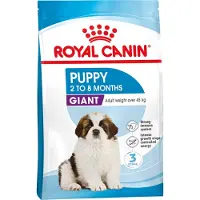 Royal Canin Croquettes Chien Puppy Giant Pour Chiot Geant De 2 A 8 Mois 3.5kg