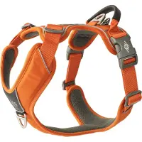 Dog Copenhagen V3 Comfort Walk Pro Harness Orange Sun S