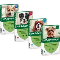 Advantage 250 - Chien (10 - 25 kg) - 4 x 2,5 ml