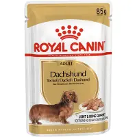 Royal Canin Teckel Adult - Sachet