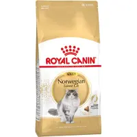 Royal Canin Norwegian Forest Cat Adult - 10 kg