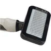 Beeztees Brosse lisse Chien - Moyen