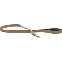 Beeztees Balacron Ax Laisse pour Chien Faux Cuir - Marron - 100 cm x 15 mm
