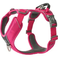 Dog Copenhagen Comfort Walk Pro Harness - Wild Rose - XS