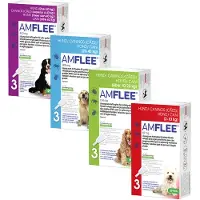 Amflee Spot-On 268 mg pour chiens L 20 - 40 kg