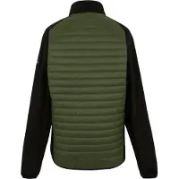 Regatta - Veste hybride "Clumber" pour homme RG12276 (M) (Olive/noir)