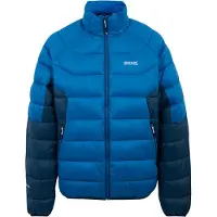 Regatta - Veste matelassée "Dalent" pour hommes RG12126 (L) (Bleu tuba/bleu jean foncé)