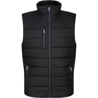 Regatta - Gilet pour homme RG9318 (XXL) (Noir/Gris moyen)