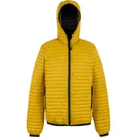 Regatta - Veste matelassée "Rigain" pour homme RG12162 (3XL) (Or)