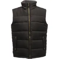 Regatta Gilet isolé pour hommes Standout Altoona RG1619 (S) (Noir)