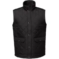 Regatta - Gilet pour homme RG3177 (XXXL) (Noir)