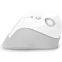Connect IT FOR HEALTH Gloss Souris verticale ergonomique, (+ 1x pile AA e), sans fil, BLANC