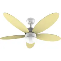 Cecotec Energy Silence Aero 4260 Ceiling Fan 40w Noir One Size / EU Plug 220V