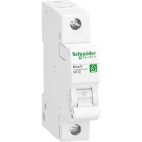 Schneider Electric Disjoncteur 1P,13A,B - Disjoncteur miniature 1-p B13A R9F23113