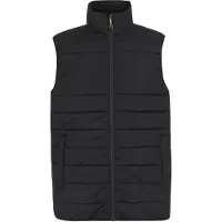 Regatta - Gilet thermique pour homme RG11657 (3XL) (Noir)