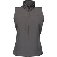 Regatta - Gilet pour femme RG1625 (46 FR) (Gris foncé)