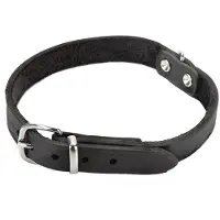 Beeztees BZ COLLIER EN CUIR NOIR 42X16 (Chien, Général)