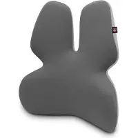 Connect IT FOR HEALTH GamaPro Support lombaire anatomique pour chaise, GRIS