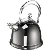 Schulte Ufer Bouilloire à flûte Luna 16 cm Ø, Bouilloire électrique, Noir