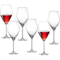 Ritzenhoff & Breker Verre à vin rouge "SALSA", 0,47 l lavable au lave-vaisselle, forme bulbeuse, hauteur : 250 mm