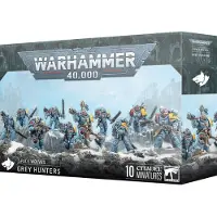 Games Workshop Warhammer 40,000 ( 40k ) : Space Wolves - Grey Hunters 53-21