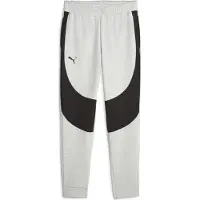Puma Hommes, Bas de sport, Hoops Team Dime Pant (L), Gris