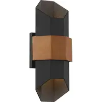 QUOIZEL Applique d'extérieur à LED intégrée 5,5 W Chasm