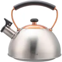Briebe Bouilloire À Induction Théière Sifflet 2,3l Acier Inox. Retro, Poignée Cool, , Inox/ Bronze, , I-Bronze