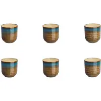 Bjorn Coupe ISLAND 15cl - 6 pièces - Terre et mer