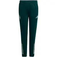 Adidas Pantalon de sport 'Arsenal Tiro 25 Competition' vert foncé