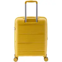 Gladiator 0800 Trolley 4 roues 55 cm avec soufflet d'extension