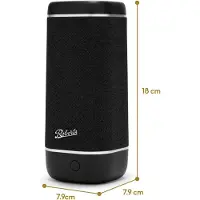 Roberts Reunion Black (Bluetooth), Radio, Noir