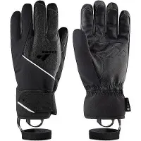 Zanier Planai.gore-tex Gloves Noir 10