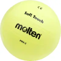 Molten Volleyball