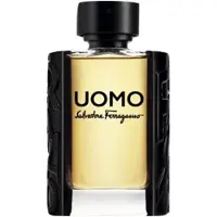 Salvatore Ferragamo Uomo Eau de Toilette Spray (100 ml)