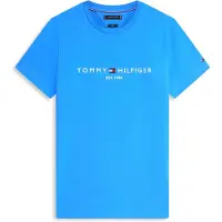 Tommy Hilfiger T-Shirt bleu marine / azur / rouge / blanc