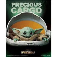 Pyramid Star Wars - Precious Cargo - Poster Lenticulaire 3d 26x20cm