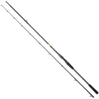 Daiwa Prorex E Pike Distance I Baitcasting Rod Argenté 2.03 m / 28-84 g