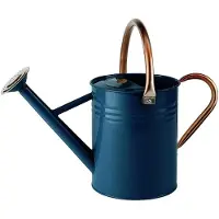 OEM Tuyau d'arrosage métallique, 4,5 litres