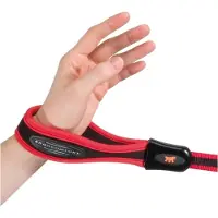 Ferplast Ergocomfort GM25/55 - Laisse pour chien rouge (Chien, Général)