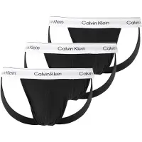 Calvin Klein Underwear Slip gris clair / noir / blanc