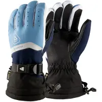 Matt Perform Gore Gore-tex Gloves Bleu M Homme
