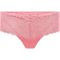 Triumph Slip 'That Night In Vegas' rose