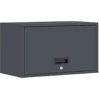 vidaXL Armoire murale pour le garage avec porte à vérin à gaz Anthracite