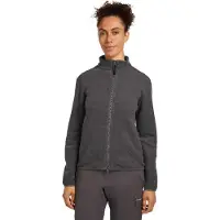 Icebreaker Merino Blend 800 Realfleece Classic Pile Full Zip Sweatshirt Gris XL Femme
