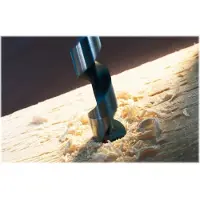 Bosch Accesorios Mèche à serpentin PRO pour le bois, 14x170x235