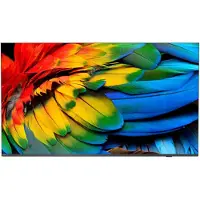 Philips 50HFL6214U 127 cm (50") 4K Ultra HD Smart TV Wifi Anthracite 400 cd/m² Écran enroulable